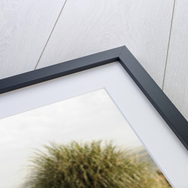 Ferrari 365 gt 1968 by Simon Clay