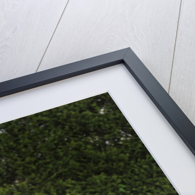 Ferrari F50 1996 by Simon Clay