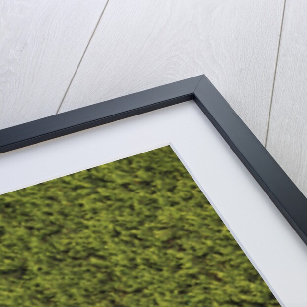 Ferrari F50 1996 by Simon Clay