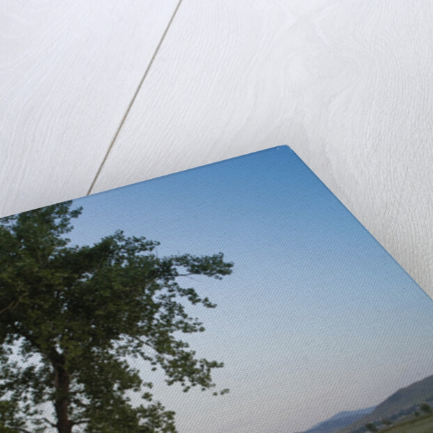 Ferrari Nart Spyder 1967 by Simon Clay