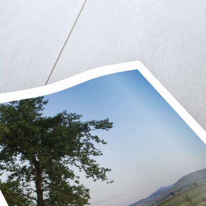 Ferrari Nart Spyder 1967 by Simon Clay