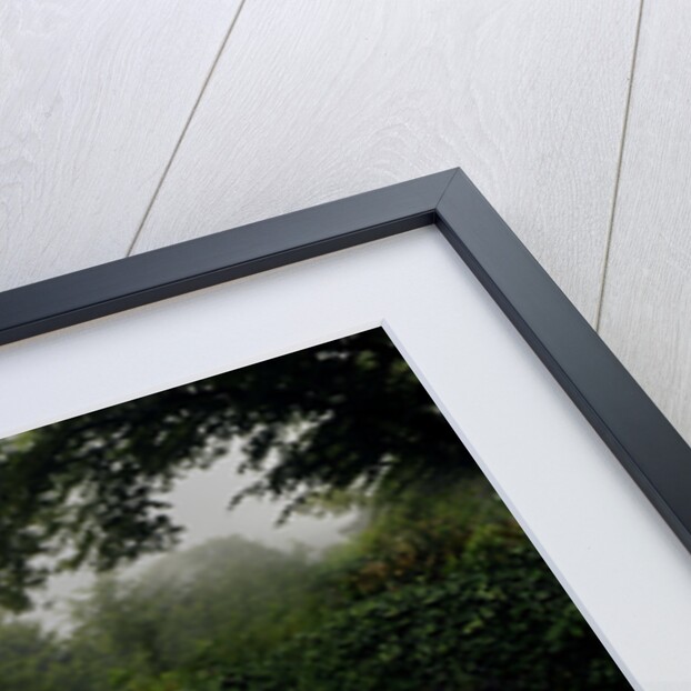 Fiat 1600s split window 1963 by Simon Clay