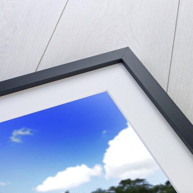 Ford Focus RS 2009 by Simon Clay