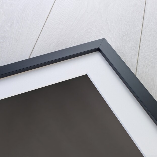 Indian Camel Back 1908 by Simon Clay