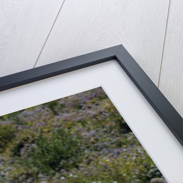 Lamborghini Miura p400s 1970 by Simon Clay