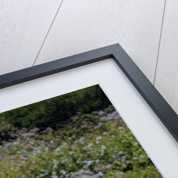 Lamborghini Miura p400s 1970 by Simon Clay