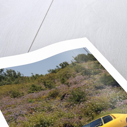 Lamborghini Miura p400s 1970 by Simon Clay