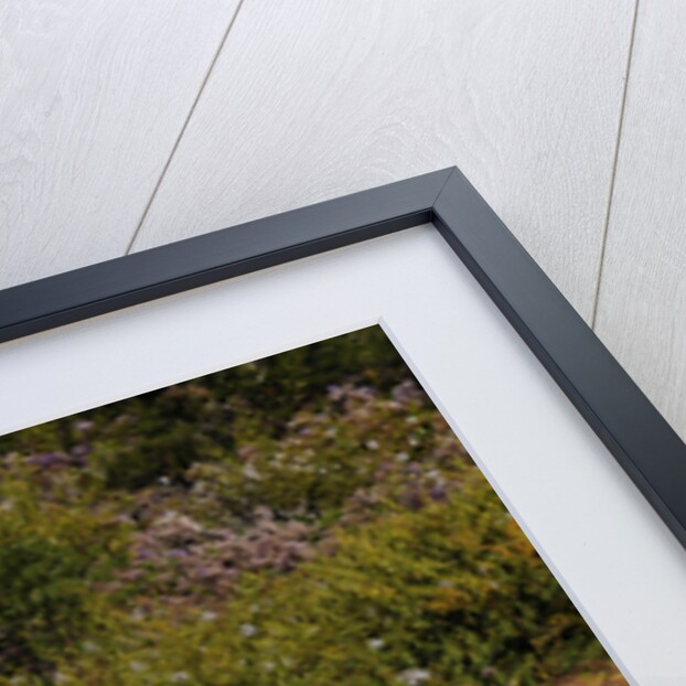 Mercedes Benz 300 SL roadster 1958 by Simon Clay