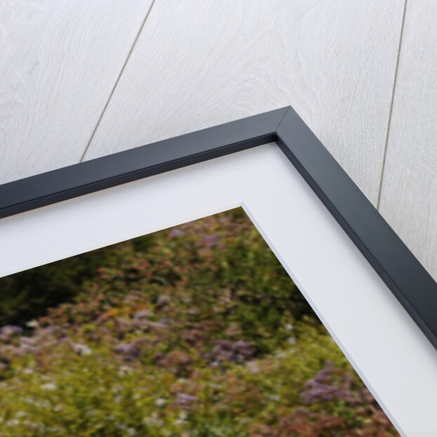 Mercedes Benz 300 SL roadster 1958 by Simon Clay