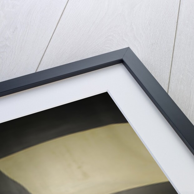 Meskowski bowes seal fast special 1960 by Simon Clay