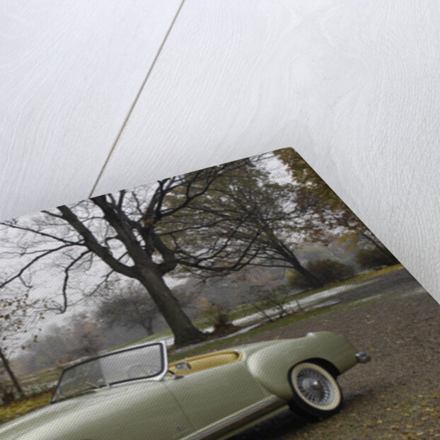 Nash Healey 1953 by Simon Clay