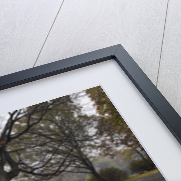 Nash Healey 1953 by Simon Clay