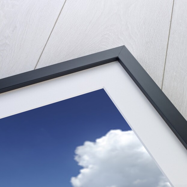 Renault Megane Sport R26R 2009 by Simon Clay