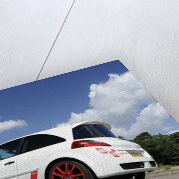 Renault Megane Sport R26R 2009 by Simon Clay