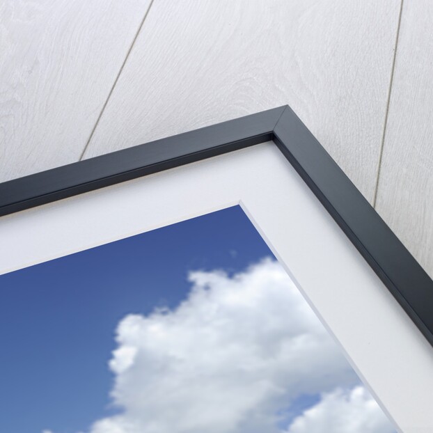 Renault Megane Sport R26R 2009 by Simon Clay