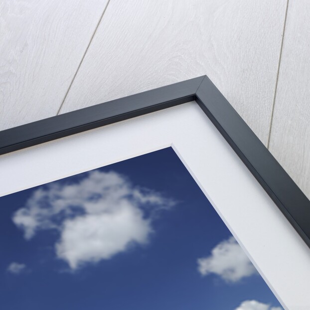 Renault Megane Sport R26R 2009 by Simon Clay