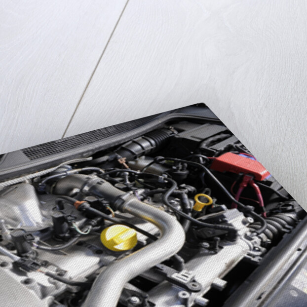 Renault Megane Sport R26R 2009 by Simon Clay