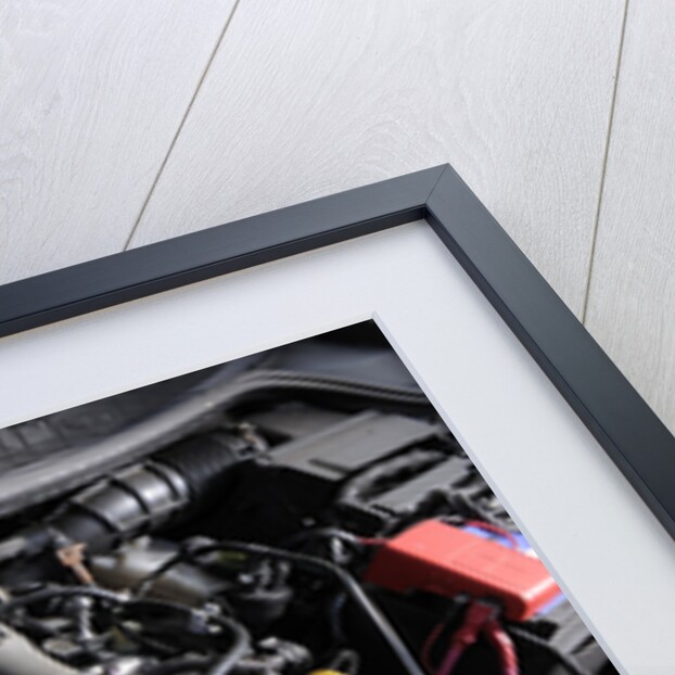 Renault Megane Sport R26R 2009 by Simon Clay