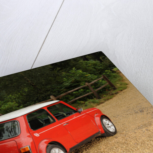Rover Mini Cooper works 1998 by Simon Clay