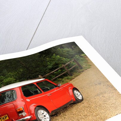Rover Mini Cooper works 1998 by Simon Clay
