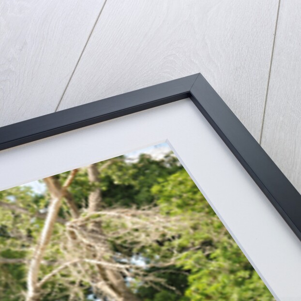 Ruxton model c roadster 1932 by Simon Clay