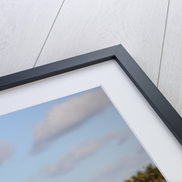 SKODA Fabia 2007 by Simon Clay