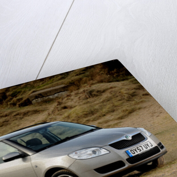 Skoda Fabia Estate 2007 by Simon Clay