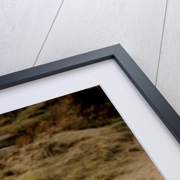 Skoda Fabia Estate 2007 by Simon Clay