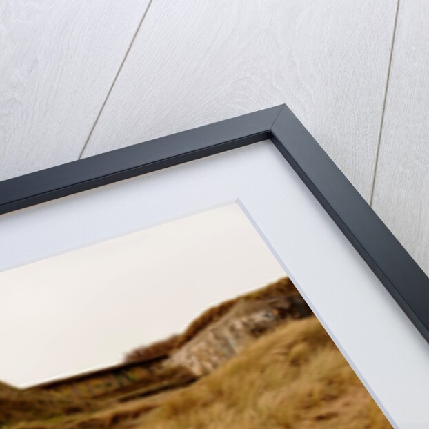 Skoda Fabia Estate 2007 by Simon Clay