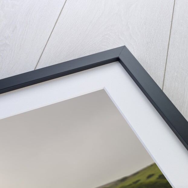 Skoda SUPERB 2008 by Simon Clay