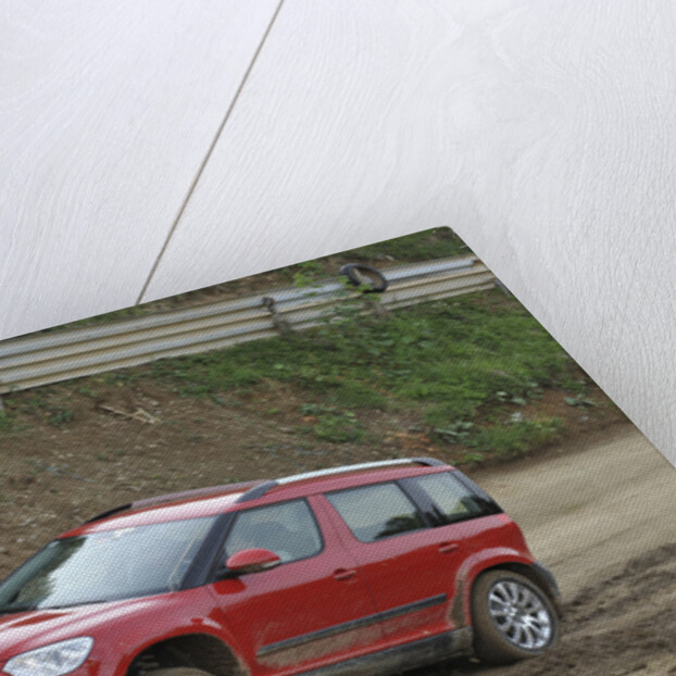 Skoda Yeti 2009 by Simon Clay