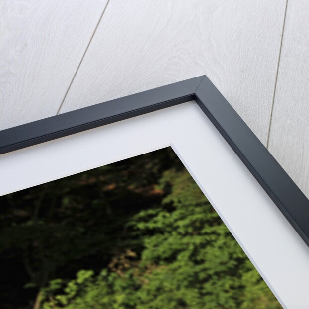 Skoda Yeti 2009 by Simon Clay