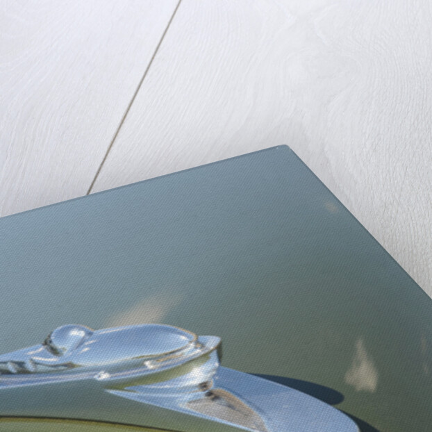 Tucker 1948 by Simon Clay