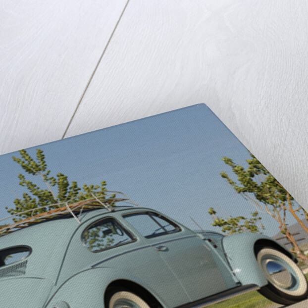VW Beetle 1957 by Simon Clay