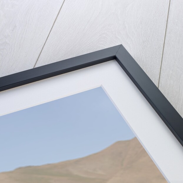 Ford Mustang Boss 429 1970 by Simon Clay