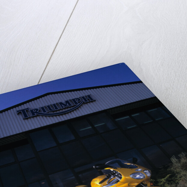 1996 Triumph Daytona T595 by Unknown