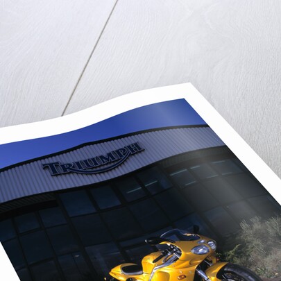 1996 Triumph Daytona T595 by Unknown