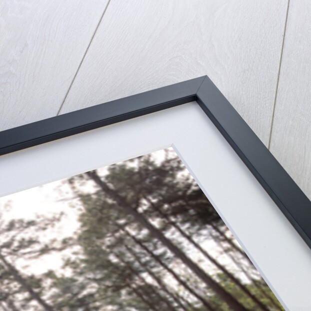 2000 BMW X5 4.4i by Unknown