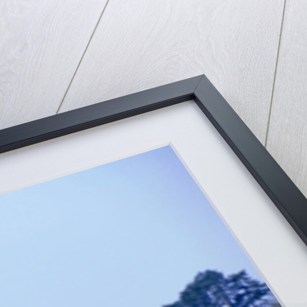 1999 Jaguar XKR by Unknown