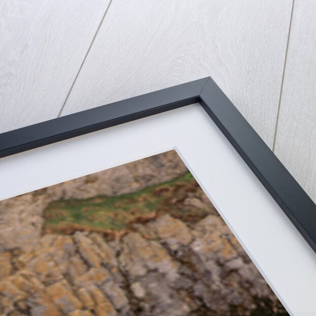 1999 Lexus GS 300 by Unknown