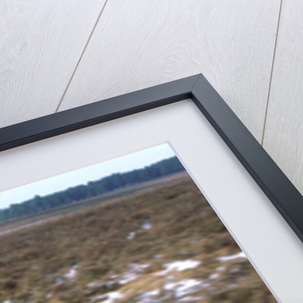 1995 Porsche 911 Carrera 4 by Unknown