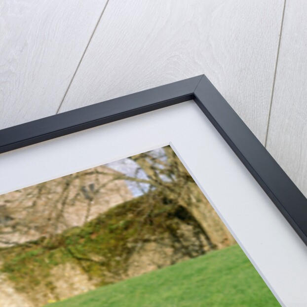 1990 Ford Escort XR3i by Unknown