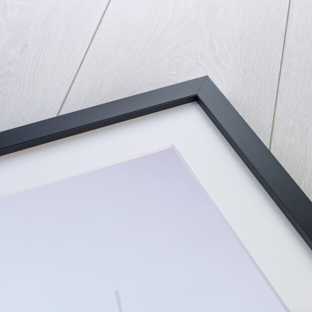 2001 Mini Cooper by Unknown