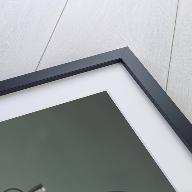 1996 Harley Davidson by Battistinis custom conversions by Unknown