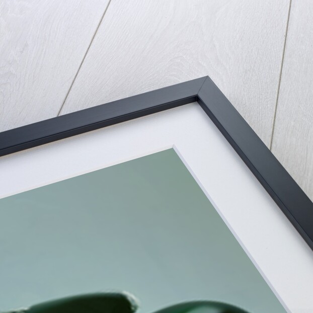 1996 Harley Davidson by Battistinis custom conversions by Unknown