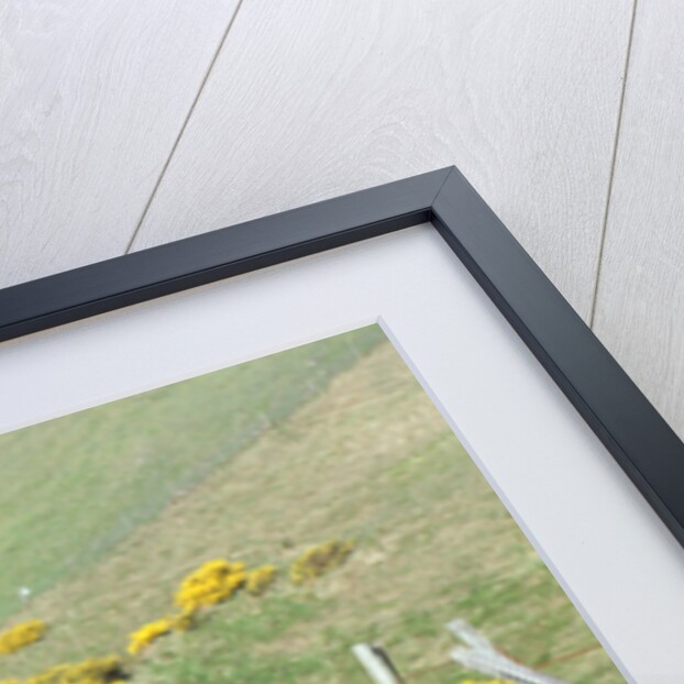 1999 Mercedes Benz CLK 320 cabriolet by Unknown