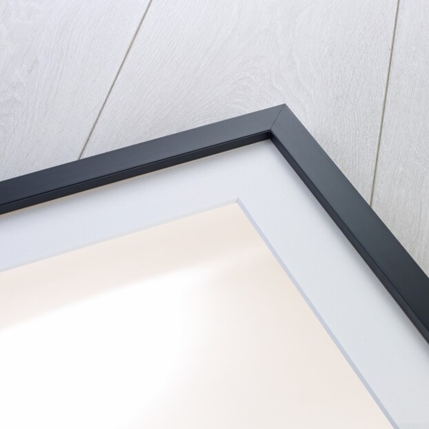 1983 Toyota Celica Supra by Unknown