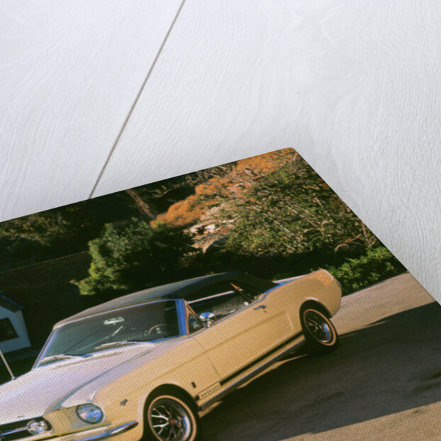 1965 Ford Mustang by Unknown