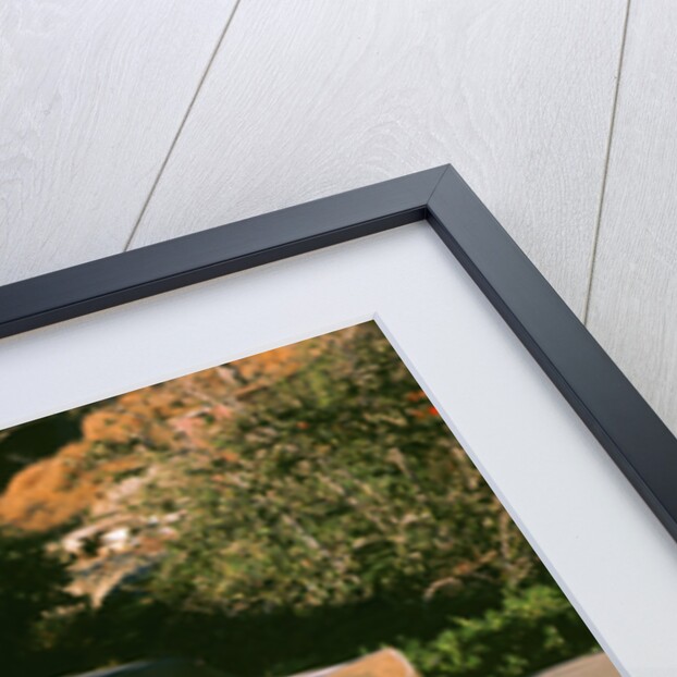 1965 Ford Mustang by Unknown