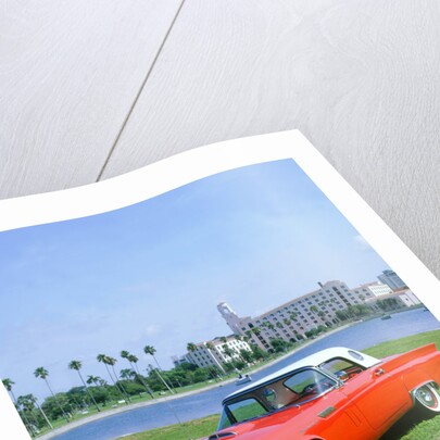 1957 Ford Thunderbird by Unknown